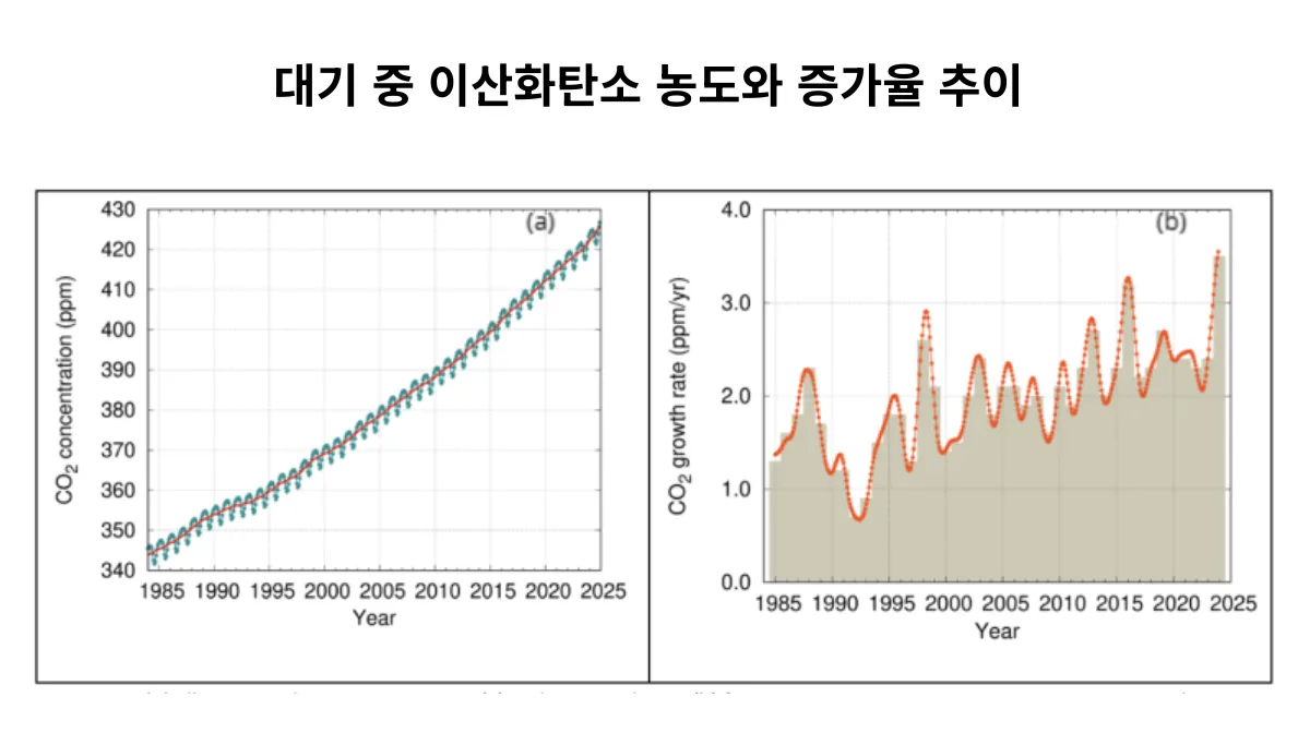 WMO CO2 농도 추이